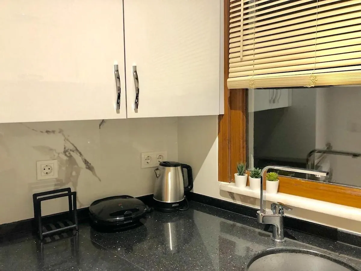 New Apartment Near The City Center & Bosphorus Istanbul Türkei